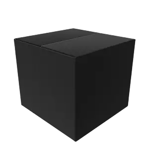 Black Box Testing
